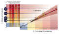 Thumbnail for version as of 16:16, 12 May 2026