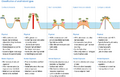 Thumbnail for version as of 16:15, 12 May 2026