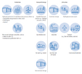 Thumbnail for version as of 16:16, 12 May 2026