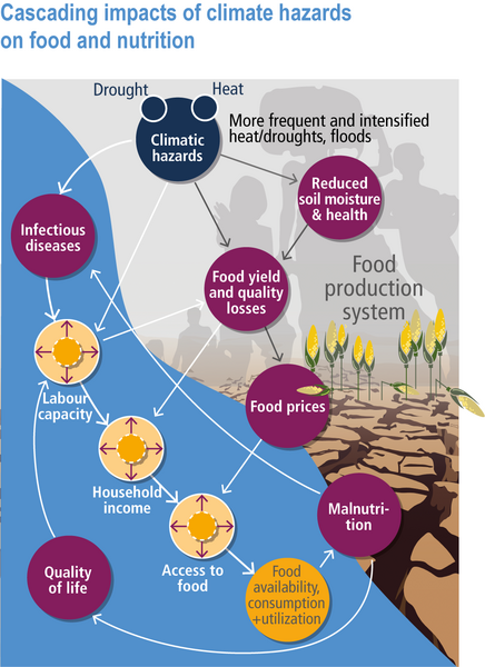 File:69bd483389e6daeb065cad82f804ed9d IPCC AR6 WGII Figure 5 002.png