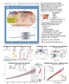 Thumbnail for version as of 16:16, 12 May 2026