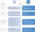 Thumbnail for version as of 16:15, 12 May 2026