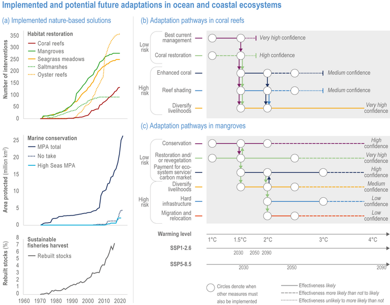 File:D481dbbb29b57218790cb7abc53fb919 IPCC AR6 WGII Figure 3 025.png