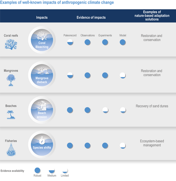 File:55a22387ec77fd6c728272633eb96fb6 IPCC AR6 WGII Figure 3 FAQ 3 1.png