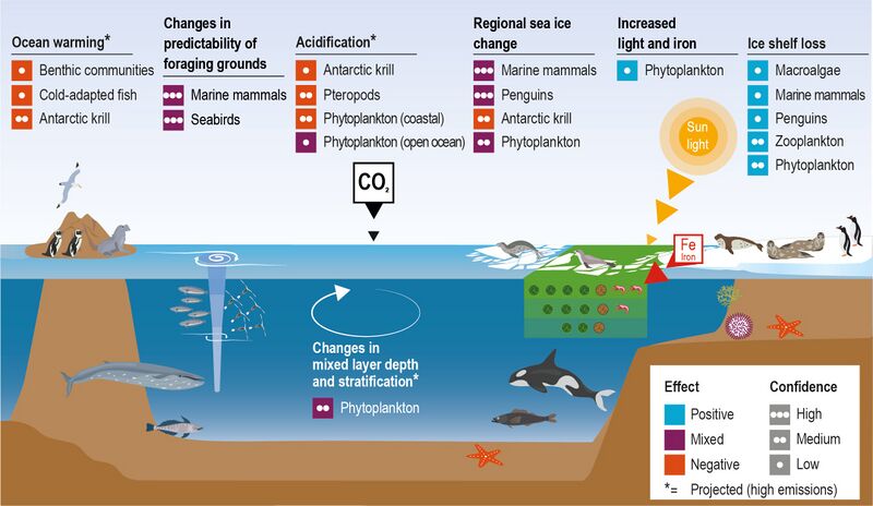 File:49e88a41905cd8a2599ddce0e9957444 IPCC-SROCC-CH 3 6.jpg