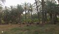 Thumbnail for version as of 16:15, 12 May 2026