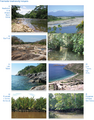 Thumbnail for version as of 16:15, 12 May 2026
