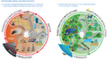 Thumbnail for version as of 16:16, 12 May 2026
