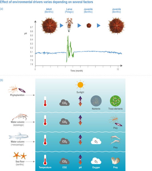 File:84e02cc957feafd19811c05647481180 IPCC AR6 WGII Figure 3 010.png