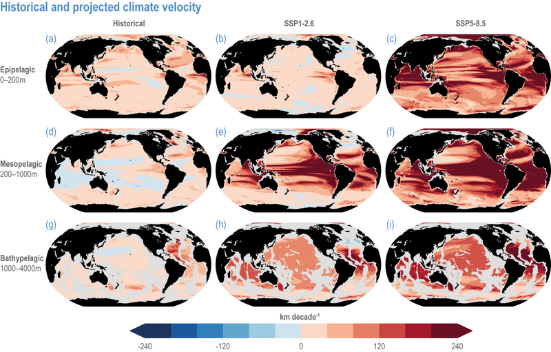 File:47f328cb87e020e334c82d4c176308d0 IPCC AR6 WGII Figure 3 004.png