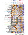 Thumbnail for version as of 16:16, 12 May 2026