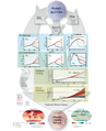 Thumbnail for version as of 16:16, 12 May 2026