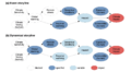 Thumbnail for version as of 16:15, 12 May 2026