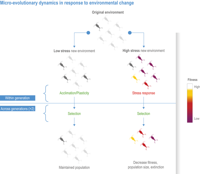 File:B3648869bb89095feb3c1b8a5647826d IPCC AR6 WGII Figure 3 011.png