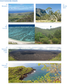 Thumbnail for version as of 16:15, 12 May 2026