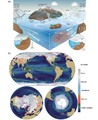 Thumbnail for version as of 16:15, 12 May 2026