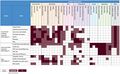 Thumbnail for version as of 16:15, 12 May 2026