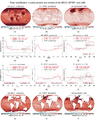 Thumbnail for version as of 16:16, 12 May 2026