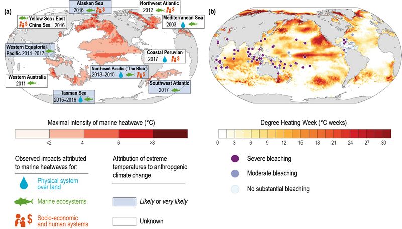 File:181956bc46f381ac899f5e3c70d6580f IPCC-SROCC-CH 6 3.jpg