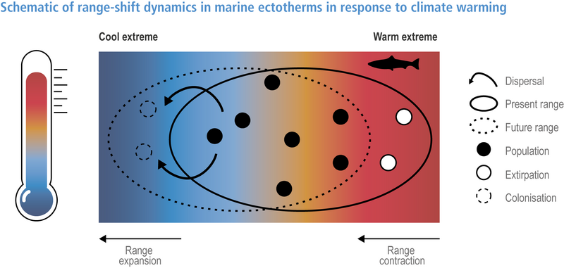 File:4e2baa6bf62f0f7f0fb192daff36a272 IPCC AR6 WGII Figure 3 015.png