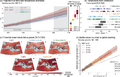 Thumbnail for version as of 16:15, 12 May 2026