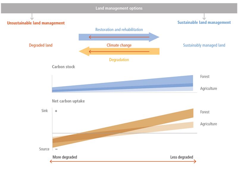 File:SRCCL Technical-Summary-figure-ts7.jpg