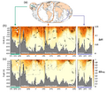 Thumbnail for version as of 16:15, 12 May 2026