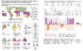 Thumbnail for version as of 16:15, 12 May 2026