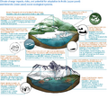 Thumbnail for version as of 16:16, 12 May 2026