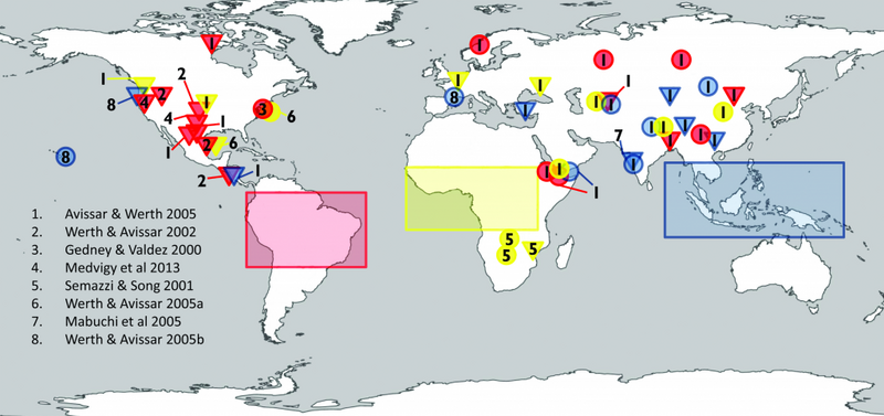 File:96cdb17f744ee3684efe61e96eecfb37 Figure-2.23-1024x482.png