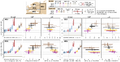 Thumbnail for version as of 16:16, 12 May 2026