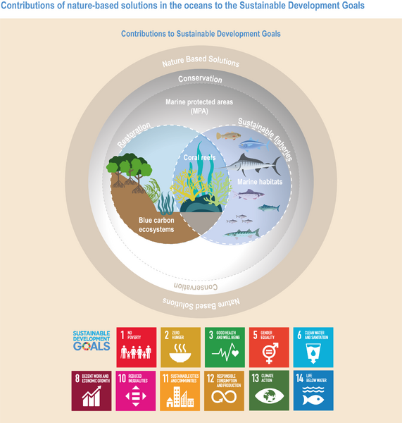 File:3c662aa1ddeb3cce47d84665d58957a5 IPCC AR6 WGII Figure 3 FAQ 3 5.png