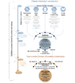 Thumbnail for version as of 16:16, 12 May 2026